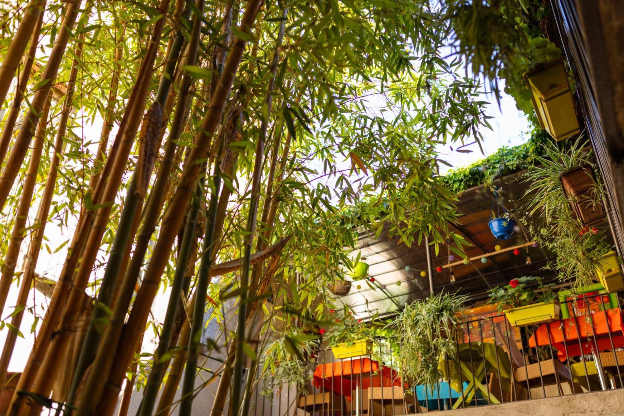 La Tour Du Terroir Bed & Breakfast Rivesaltes Ngoại thất bức ảnh