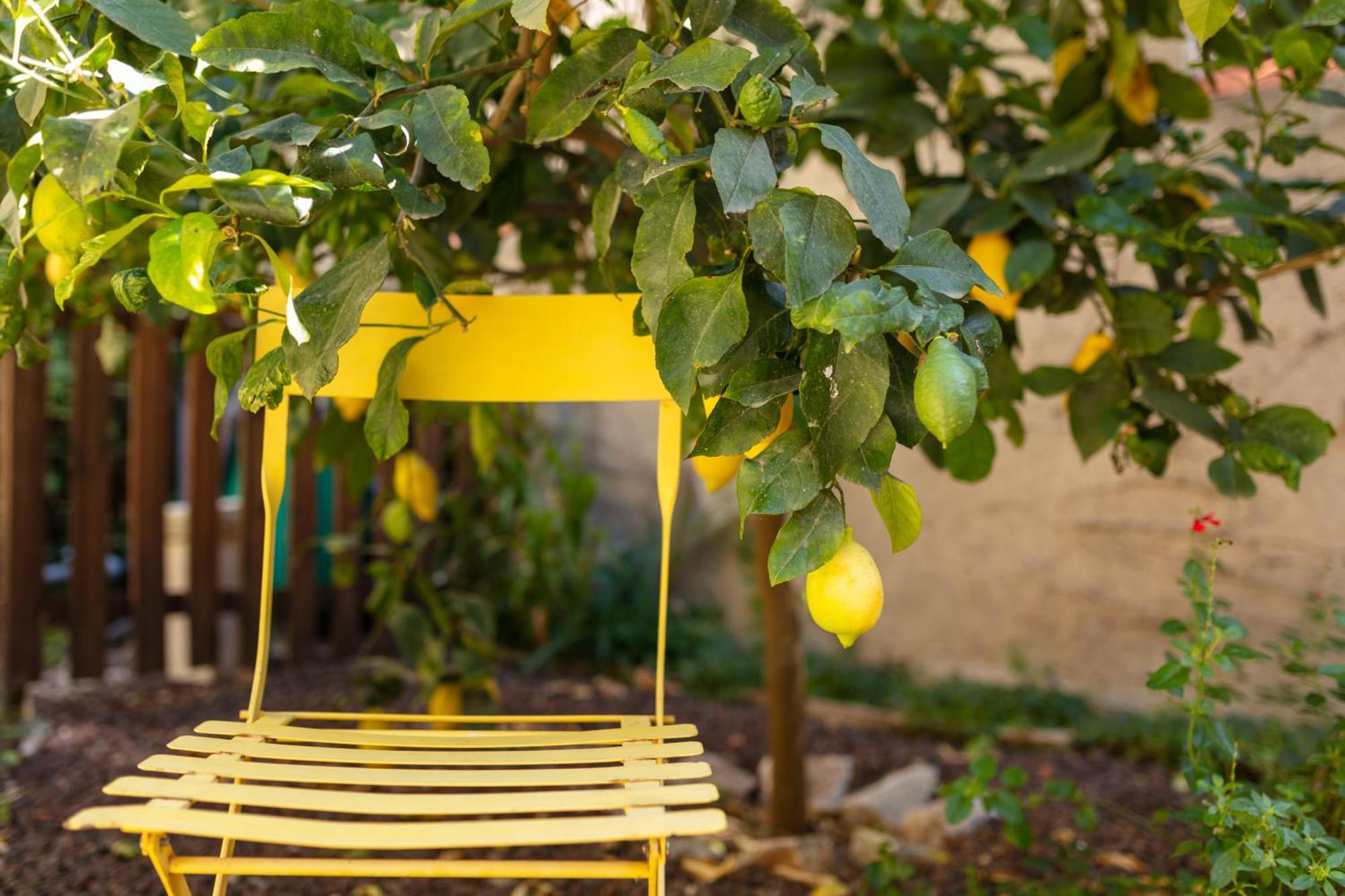 La Tour Du Terroir Bed & Breakfast Rivesaltes Ngoại thất bức ảnh